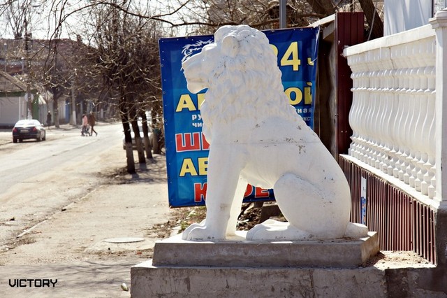 Космокот, Серпухов, VICTORY, 11-12 апреля, 2015