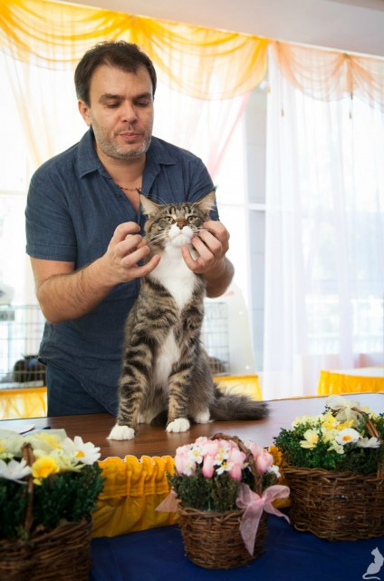 Вальтер, ICU, VICTORY