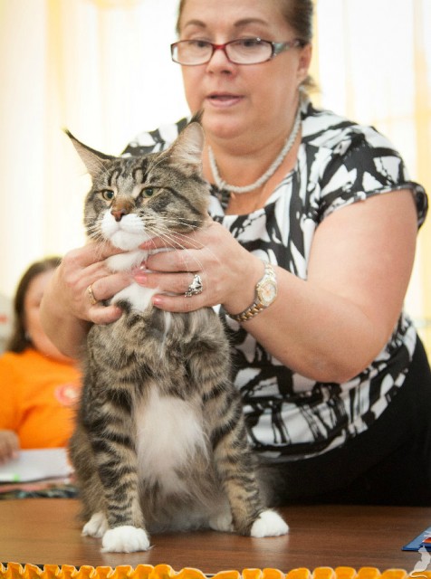 Вальтер, ICU, VICTORY