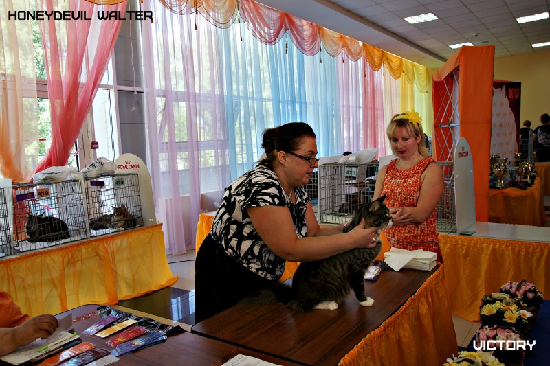 Вальтер, ICU, VICTORY