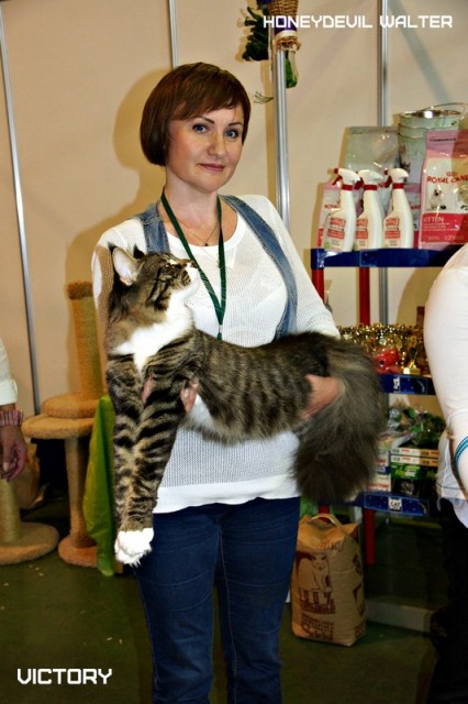 HoneyDevil Walter, VICTORY, Выставка "Гламур-Гранд"