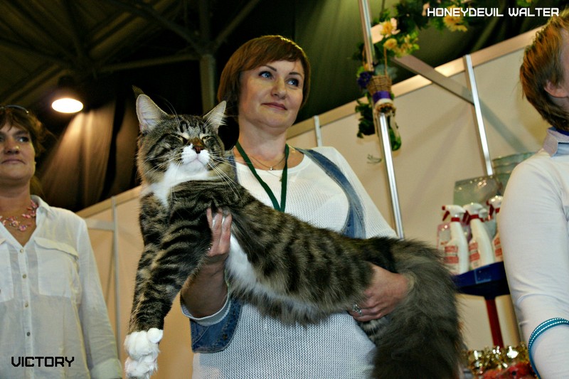 HoneyDevil Walter, VICTORY, Выставка "Гламур-Гранд"