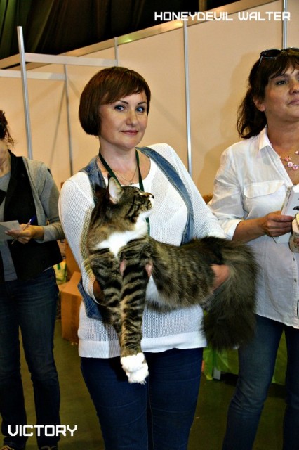 HoneyDevil Walter, VICTORY, Выставка "Гламур-Гранд"