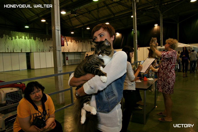 HoneyDevil Walter, VICTORY, Выставка "Гламур-Гранд"