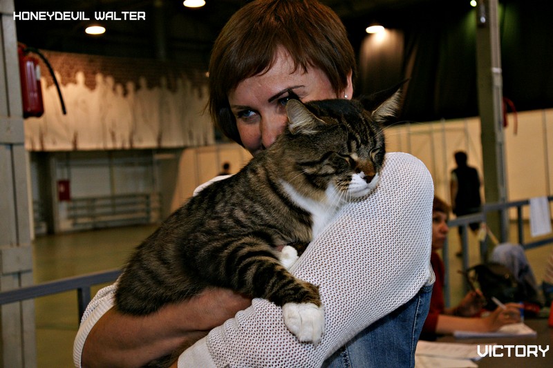 HoneyDevil Walter, VICTORY, Выставка "Гламур-Гранд"