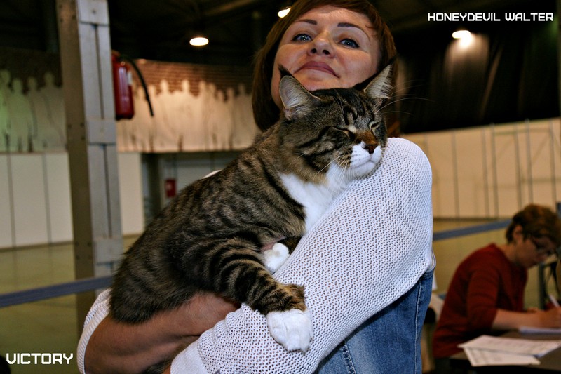 HoneyDevil Walter, VICTORY, Выставка "Гламур-Гранд"