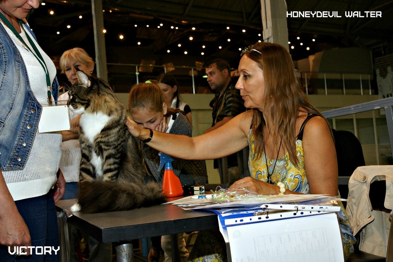 HoneyDevil Walter, VICTORY, Выставка "Гламур-Гранд"