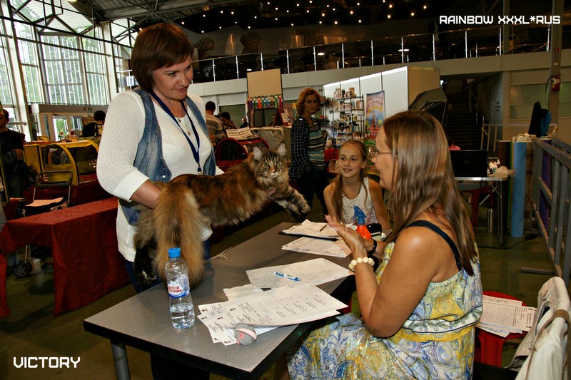 Rainbow XXXL*RUS, VICTORY, выставка "Гламур-Гранд"