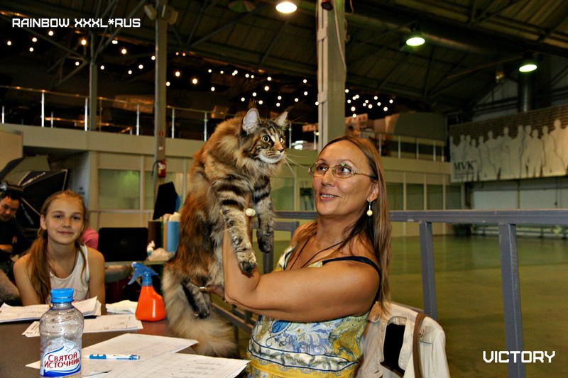 Rainbow XXXL*RUS, VICTORY, выставка "Гламур-Гранд"