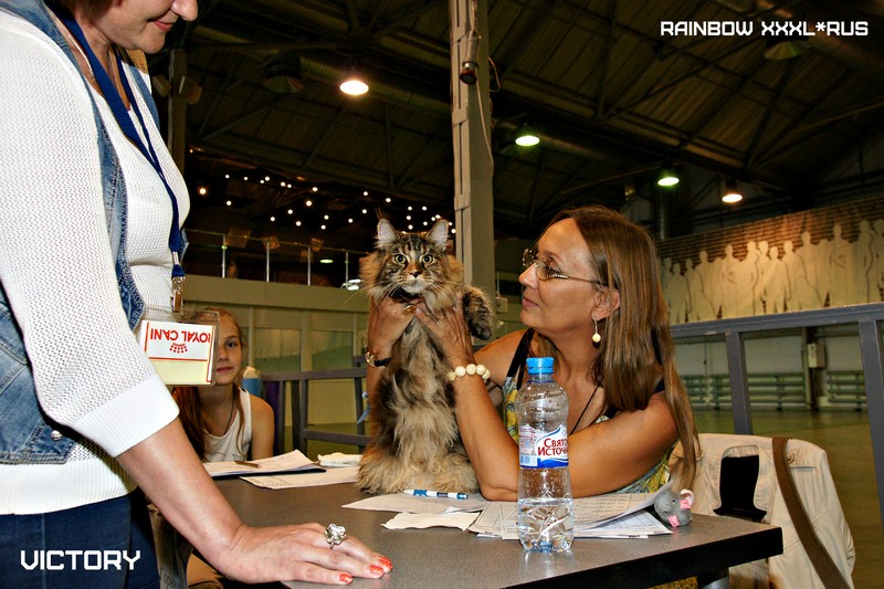 Rainbow XXXL*RUS, VICTORY, выставка "Гламур-Гранд"