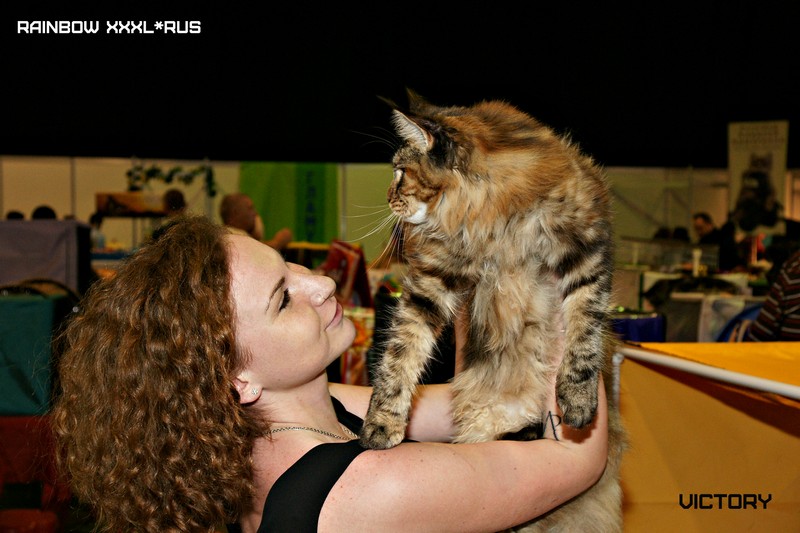 Rainbow XXXL*RUS, VICTORY, выставка "Гламур-Гранд"