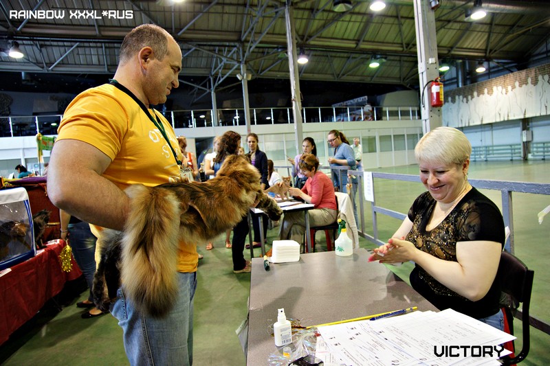 Rainbow XXXL*RUS, VICTORY, выставка "Гламур-Гранд"