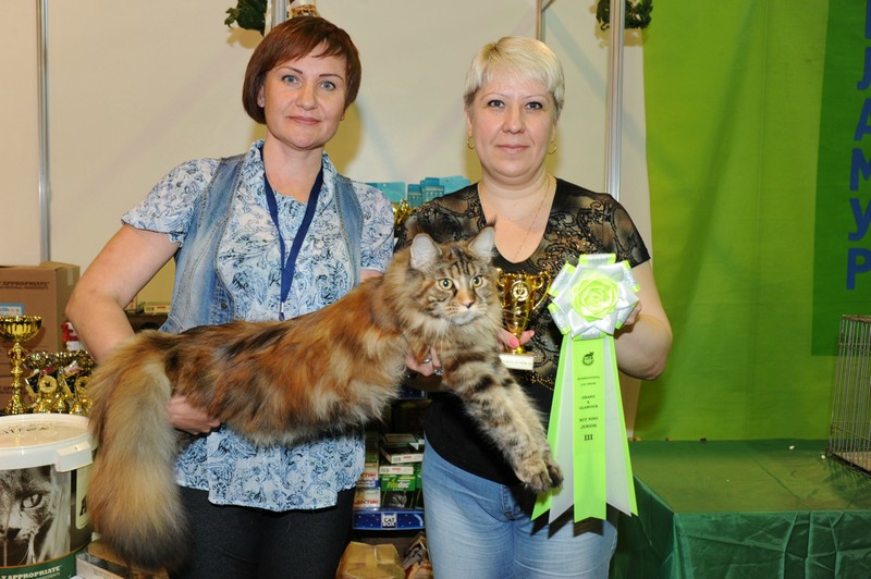 Rainbow XXXL*RUS, VICTORY, выставка "Гламур-Гранд"