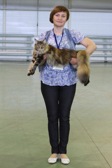 Rainbow XXXL*RUS, VICTORY, выставка "Гламур-Гранд"