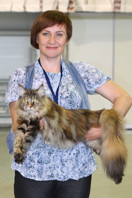 Rainbow XXXL*RUS, VICTORY, выставка "Гламур-Гранд"