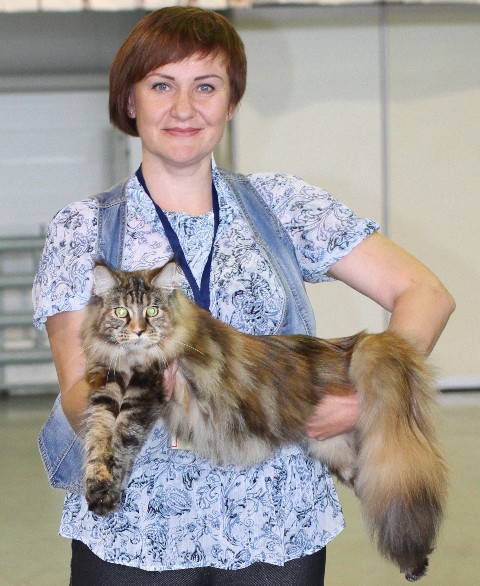 Rainbow XXXL*RUS, VICTORY, выставка "Гламур-Гранд"