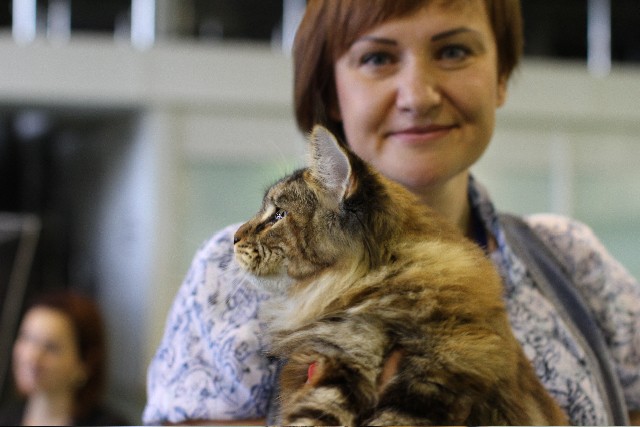 Rainbow XXXL*RUS, VICTORY, выставка "Гламур-Гранд"