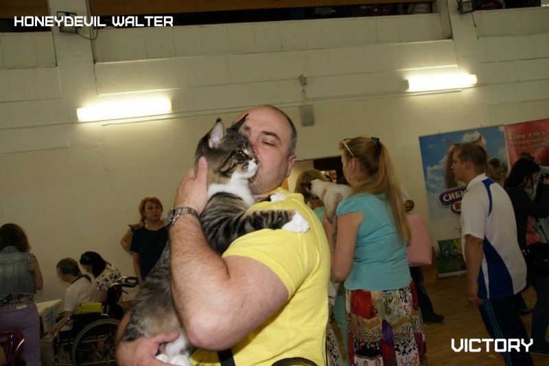 HoneyDevil Walter, VICTORY, Жемчужина - 2015