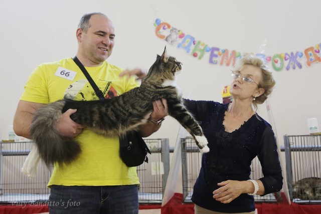 HoneyDevil Walter, VICTORY, Жемчужина - 2015