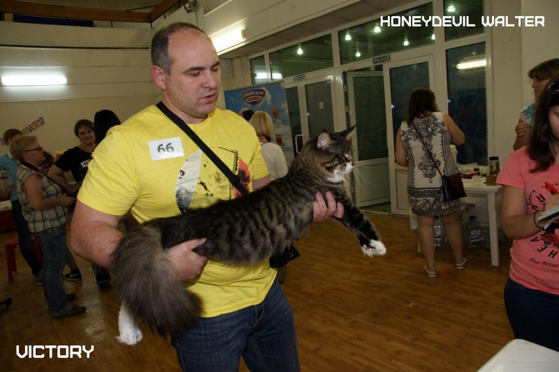 HoneyDevil Walter, VICTORY, Жемчужина - 2015