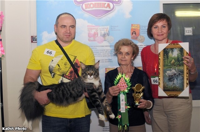 HoneyDevil Walter, VICTORY, Жемчужина - 2015