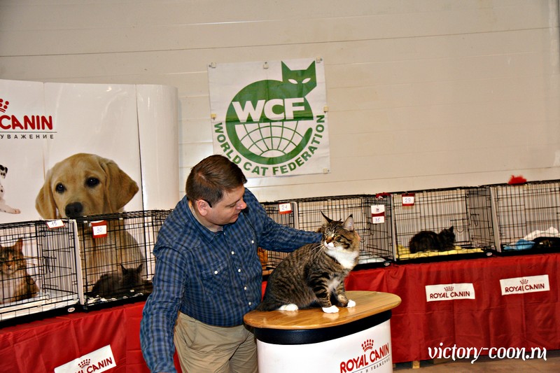 HoneyDevil Walter, VICTORY, Ярославль, сентябрь 2015