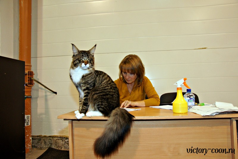 HoneyDevil Walter, VICTORY, Ярославль, сентябрь 2015