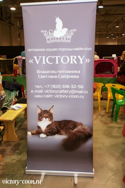 HoneyDevil Walter, VICTORY, Ярославль, сентябрь 2015