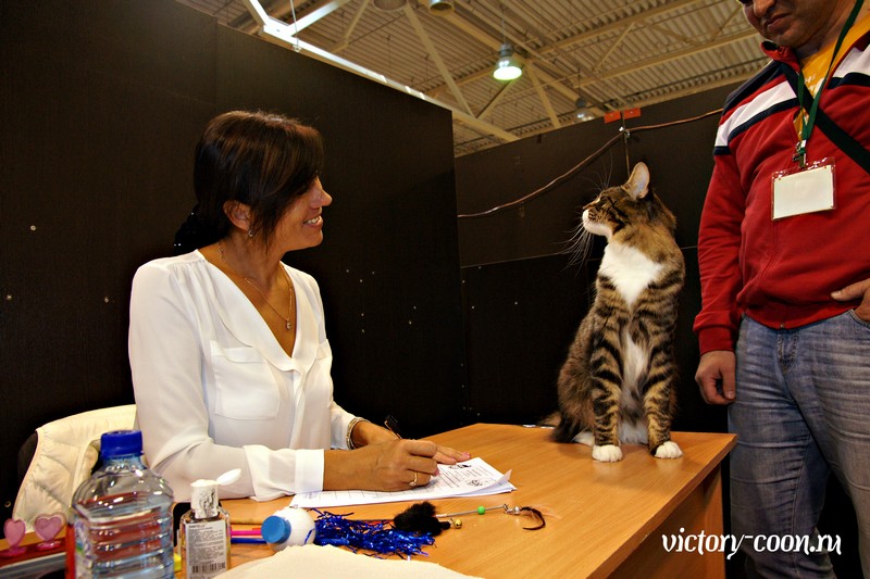 HoneyDevil Walter, VICTORY, Ярославль, сентябрь 2015