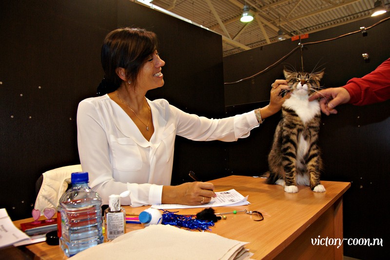 HoneyDevil Walter, VICTORY, Ярославль, сентябрь 2015