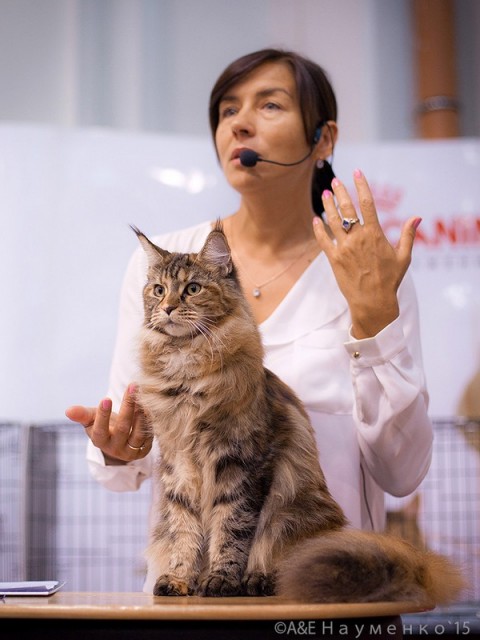 Rainbow XXXL*RUS, VICTORY, Ярославль, сентябрь 2015