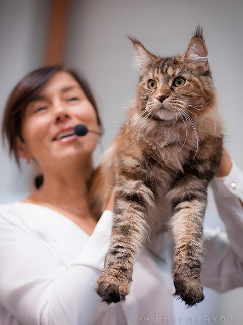 Rainbow XXXL*RUS, VICTORY, Ярославль, сентябрь 2015