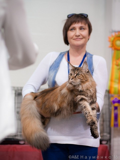 Rainbow XXXL*RUS, VICTORY, Ярославль, сентябрь 2015