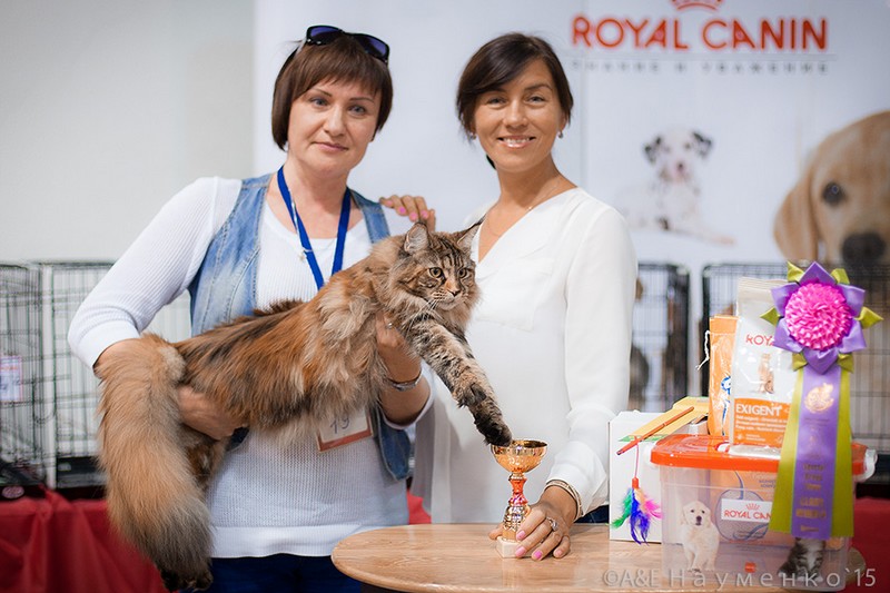 Rainbow XXXL*RUS, VICTORY, Ярославль, сентябрь 2015