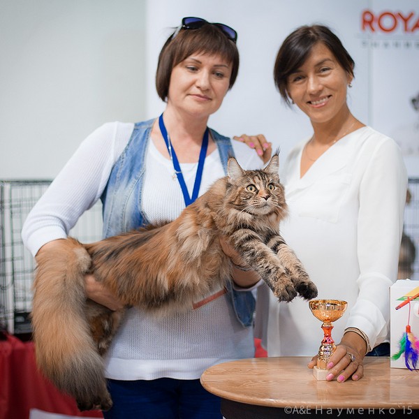 Rainbow XXXL*RUS, VICTORY, Ярославль, сентябрь 2015