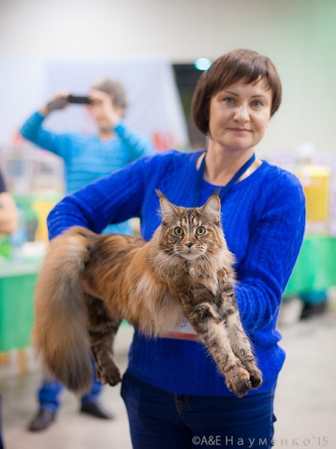 Rainbow XXXL*RUS, VICTORY, Ярославль, сентябрь 2015