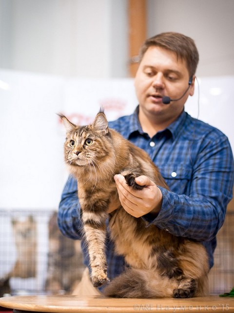 Rainbow XXXL*RUS, VICTORY, Ярославль, сентябрь 2015