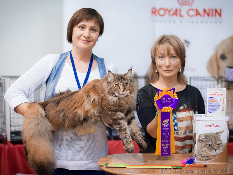 Rainbow XXXL*RUS, VICTORY, Ярославль, сентябрь 2015