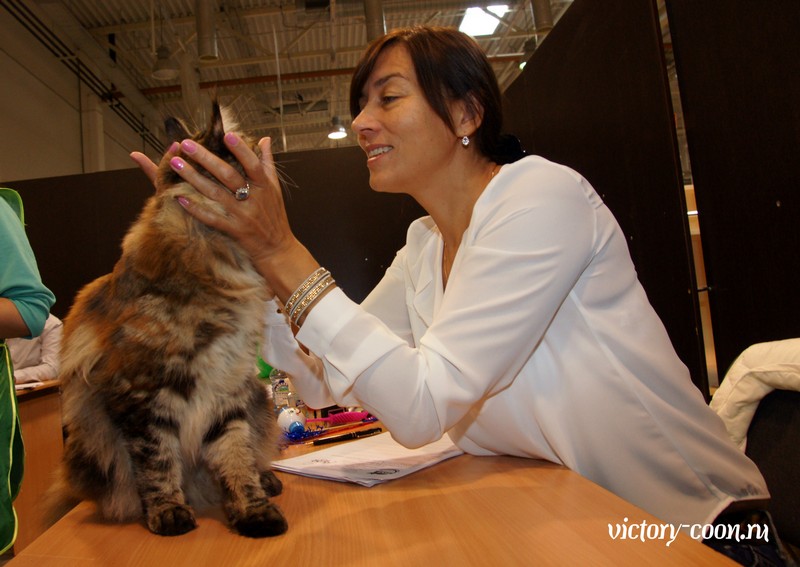 Rainbow XXXL*RUS, VICTORY, Ярославль, сентябрь 2015