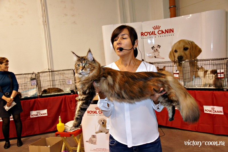 Rainbow XXXL*RUS, VICTORY, Ярославль, сентябрь 2015