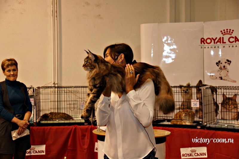 Rainbow XXXL*RUS, VICTORY, Ярославль, сентябрь 2015