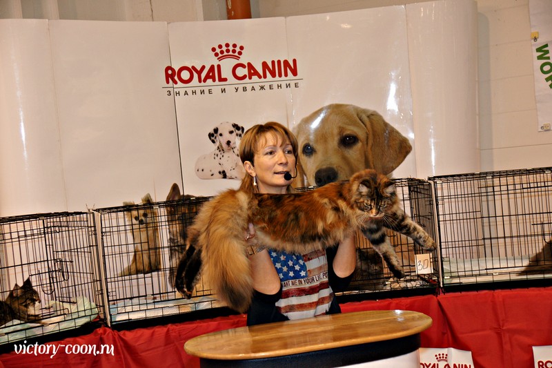 Rainbow XXXL*RUS, VICTORY, Ярославль, сентябрь 2015