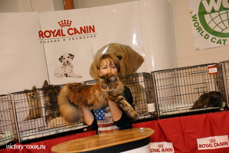 Rainbow XXXL*RUS, VICTORY, Ярославль, сентябрь 2015