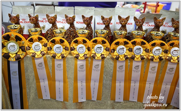 Золотая коллекция, 10-11 октября, Зоомир, VICTORY