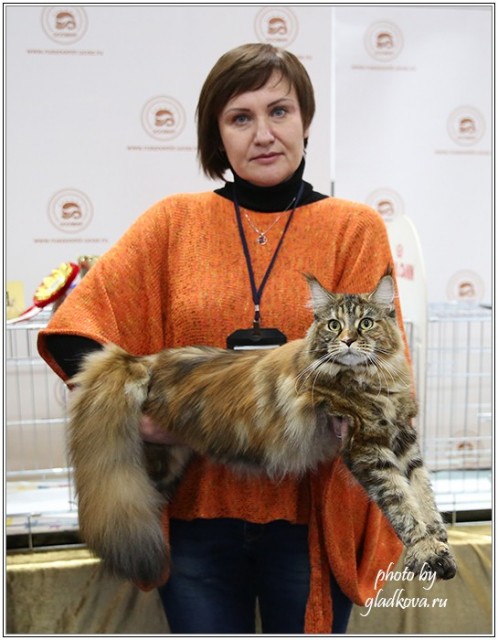 Золотая коллекция, 10-11 октября, Зоомир, VICTORY