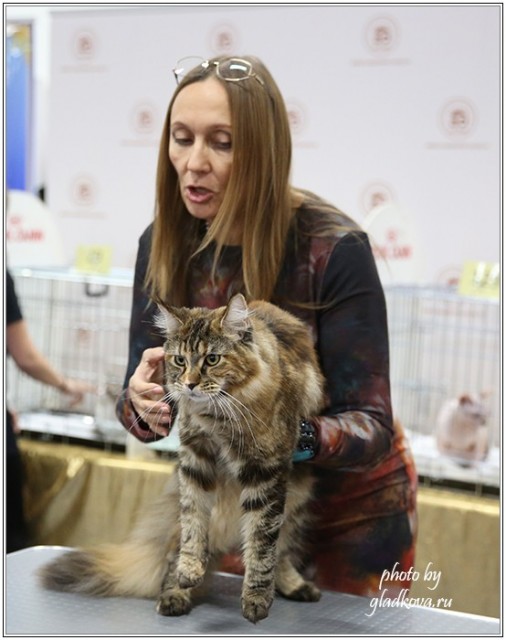 Золотая коллекция, 10-11 октября, Зоомир, VICTORY