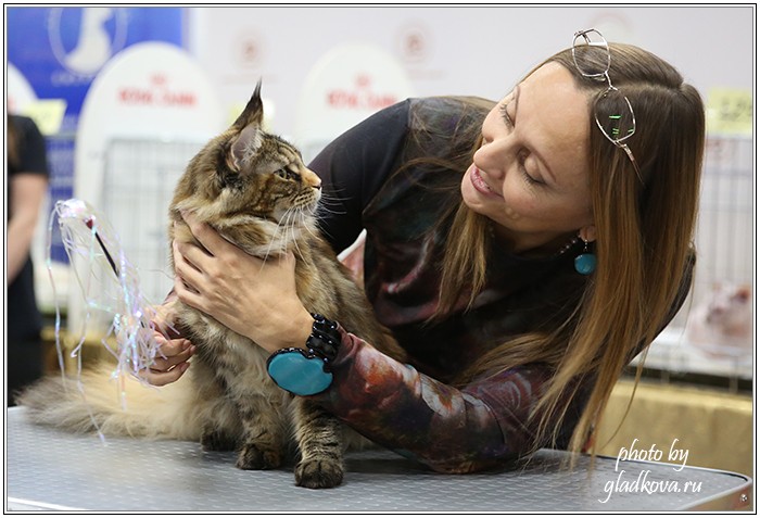 Золотая коллекция, 10-11 октября, Зоомир, VICTORY