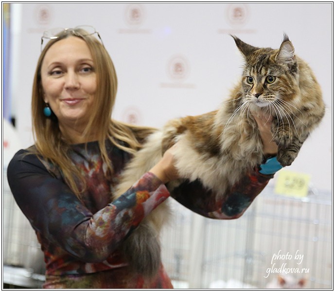 Золотая коллекция, 10-11 октября, Зоомир, VICTORY