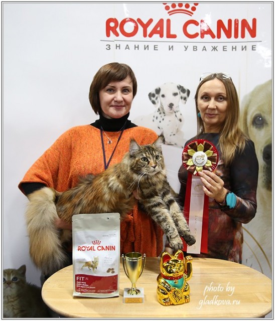 Золотая коллекция, 10-11 октября, Зоомир, VICTORY