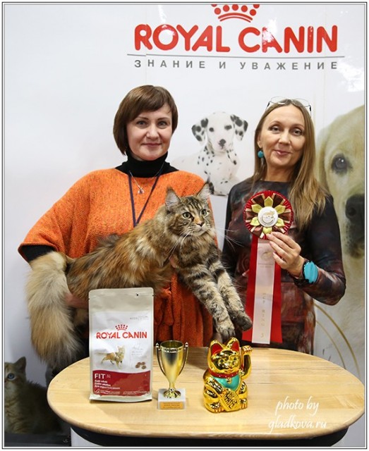 Золотая коллекция, 10-11 октября, Зоомир, VICTORY